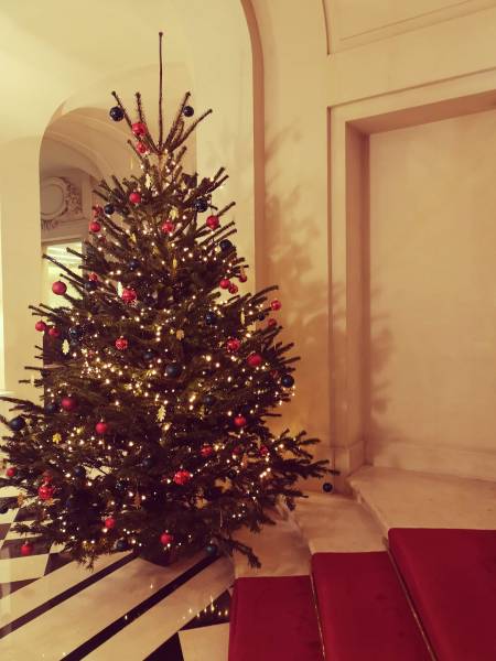 Sapin de Noel