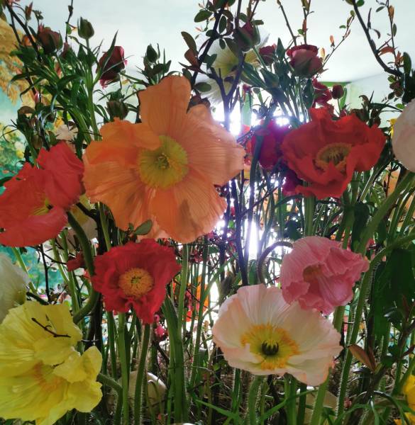 Cours art floral