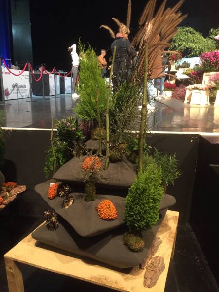 CÉDRIC DESHAYES EST SACRÉ VICE-CHAMPION DE FRANCE FLEURISTE 2019