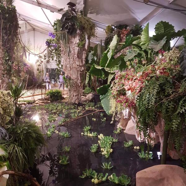 CÉDRIC DESHAYES, D’ART ET VÉGÉTAL, AUX FLORALIES DE SANARY-SUR-MER