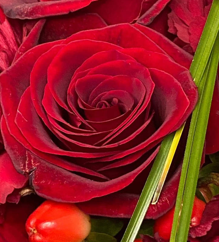 Demain c'est la Saint Valentin chez Art et Végétal à Grand Bourgtheroulde